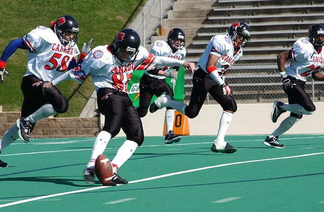 塞洛的到来 塞洛的到来