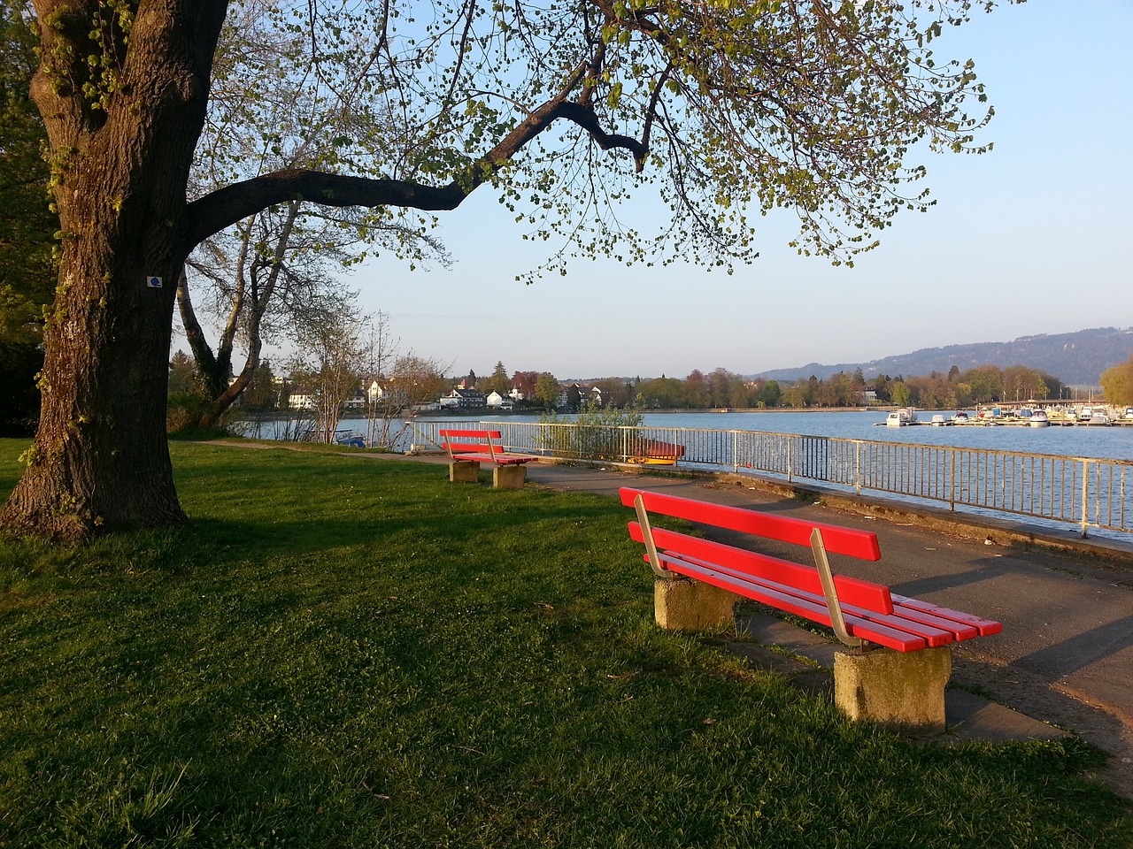 面对日本多 面对日本多