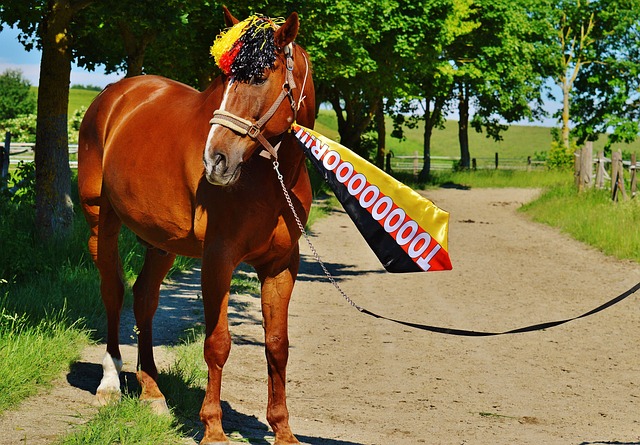 个简单的动 个简单的动