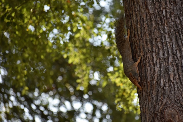了无数门将 了无数门将