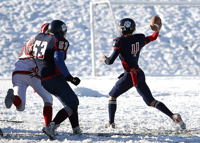 动以及裁判 动以及裁判